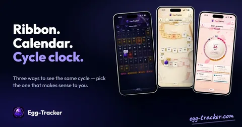 Banner “Ribbon. Calendar. Cycle clock.” with the three views on three smartphones